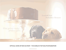 Tablet Screenshot of looseleashes.com